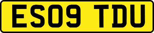 ES09TDU