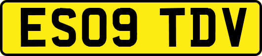 ES09TDV