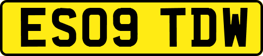 ES09TDW