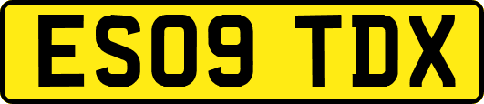 ES09TDX