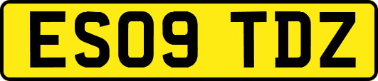 ES09TDZ