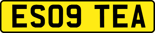 ES09TEA