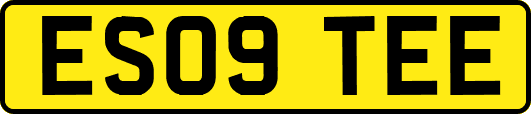 ES09TEE
