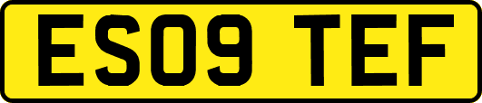 ES09TEF