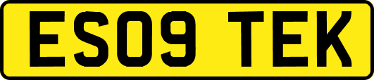 ES09TEK