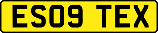 ES09TEX