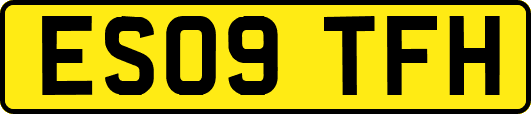 ES09TFH