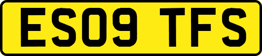 ES09TFS