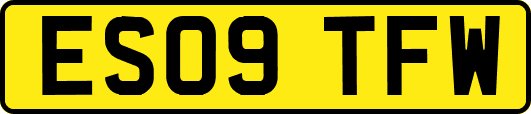ES09TFW