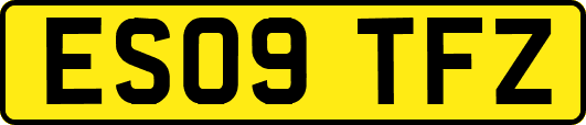 ES09TFZ