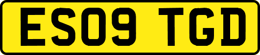 ES09TGD