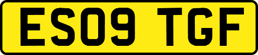ES09TGF