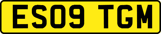 ES09TGM