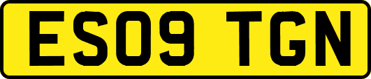 ES09TGN