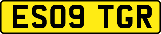 ES09TGR