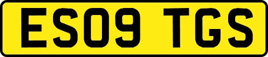 ES09TGS