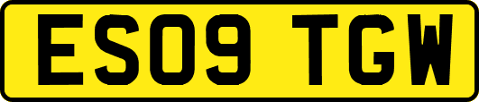ES09TGW