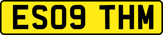 ES09THM