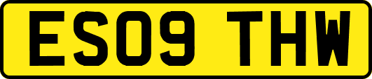 ES09THW