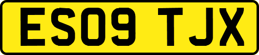 ES09TJX