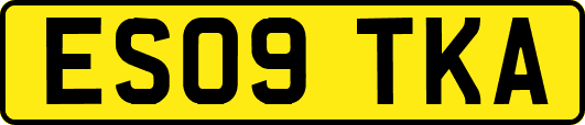 ES09TKA