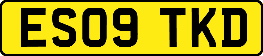 ES09TKD