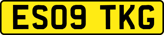 ES09TKG