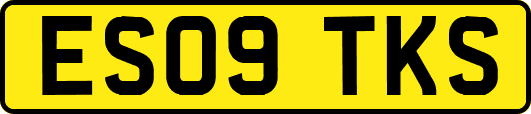 ES09TKS