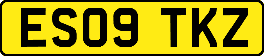 ES09TKZ