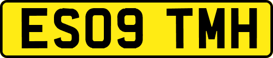 ES09TMH