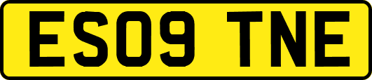 ES09TNE
