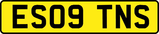 ES09TNS