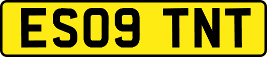 ES09TNT