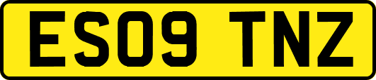 ES09TNZ