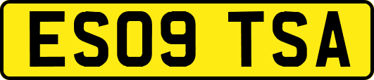 ES09TSA