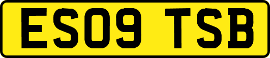 ES09TSB