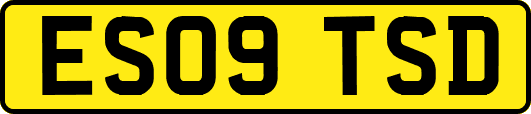 ES09TSD