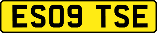 ES09TSE