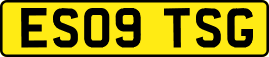 ES09TSG