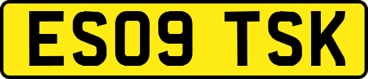ES09TSK