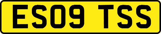 ES09TSS