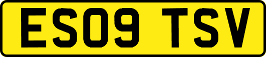 ES09TSV