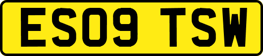 ES09TSW
