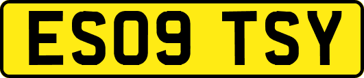 ES09TSY