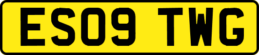 ES09TWG