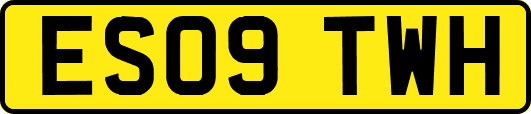 ES09TWH
