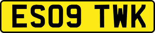 ES09TWK