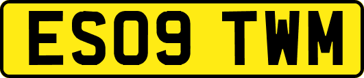 ES09TWM