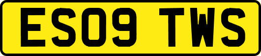 ES09TWS