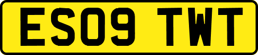 ES09TWT